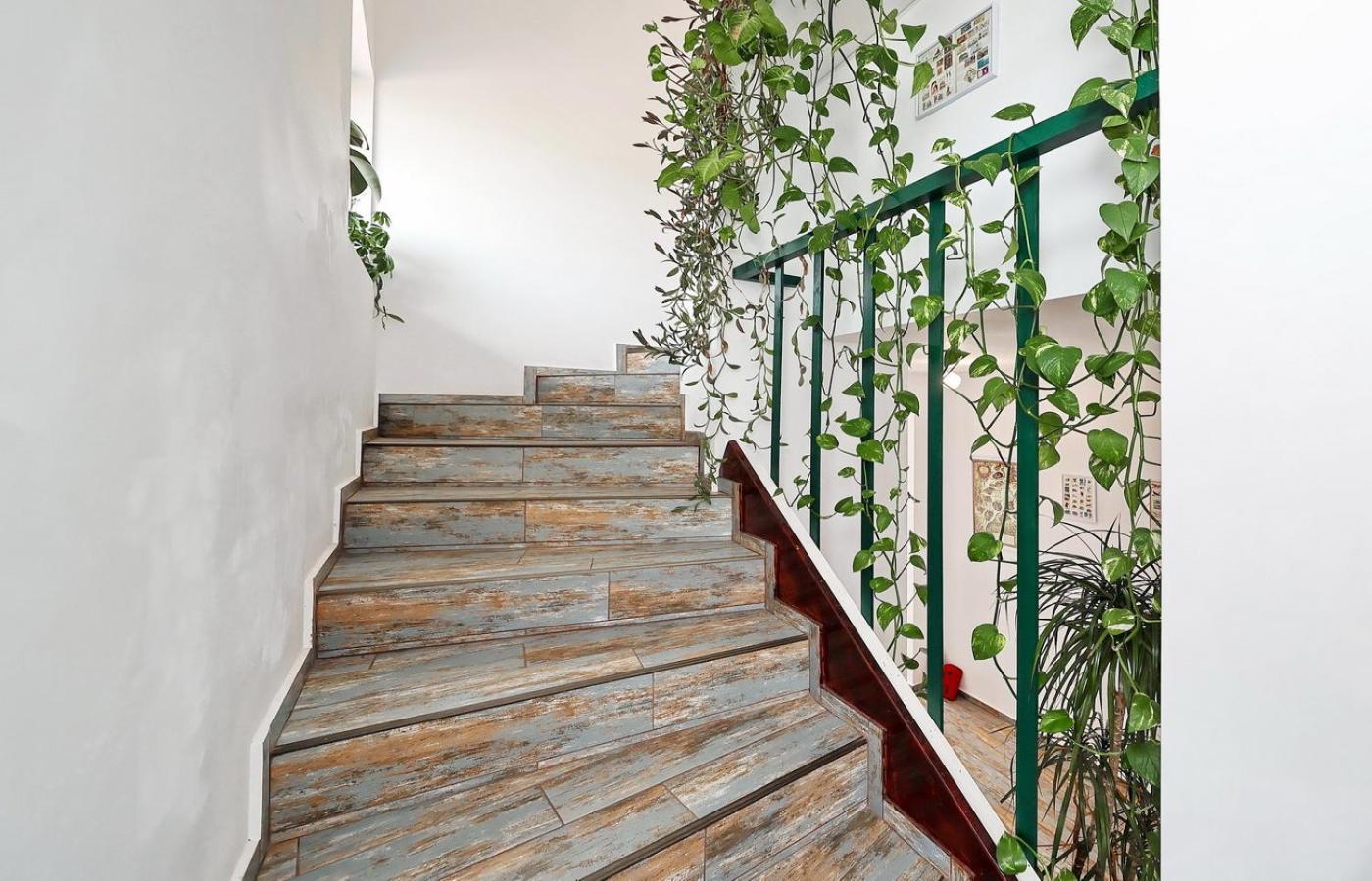 Guest house Sol Prejmer